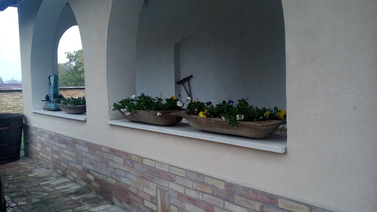 Resort La Tulipe Noire Ceglédbercel Buitenkant foto