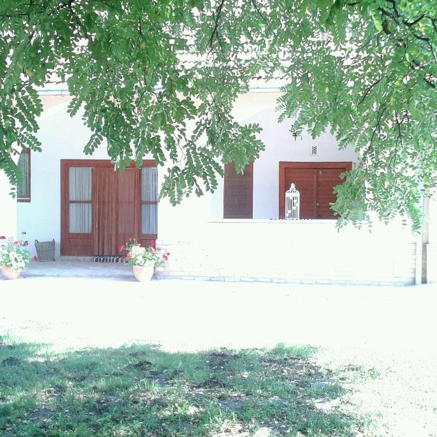 Resort La Tulipe Noire Ceglédbercel Buitenkant foto